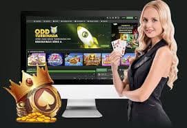Privacy and responsible gaming advice shown within the bet 222 guide page